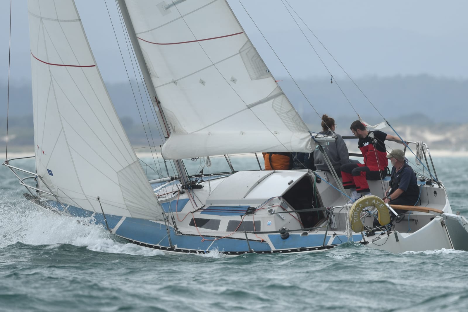 Toroa of Axe beating in strong breeze